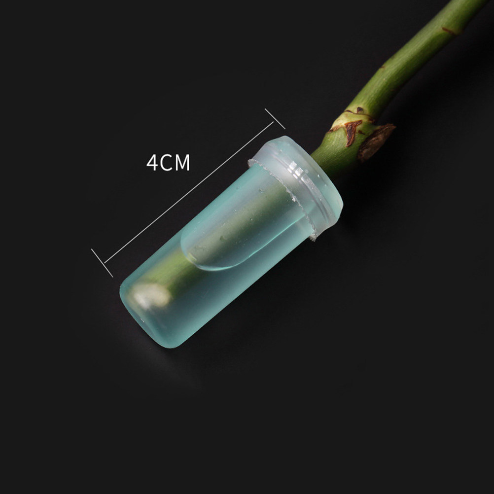 20개 꽃병용 물통 4.1x1.8cm 스카이블루 생화  - Stem Extender Tube 리뷰 및 가격