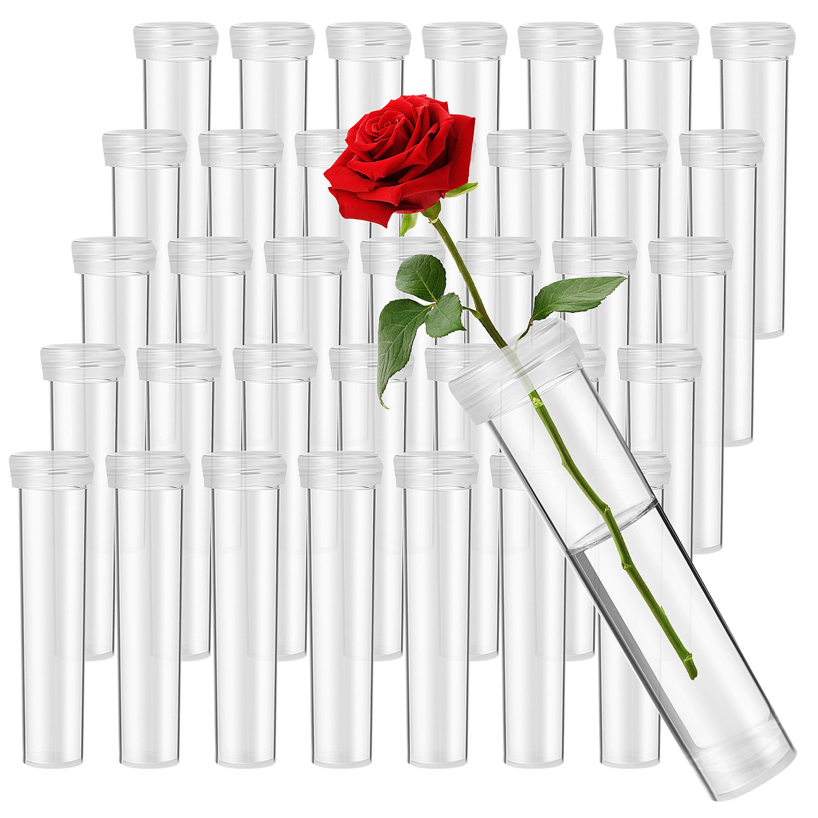 100개 꽃 물통, 누수 방지 꽃 줄기 튜브, 꽃꽂이  - Stem Extender Tube 리뷰 및 가격